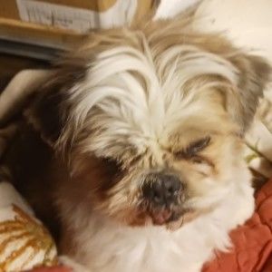 Meet your Posher, Bonita